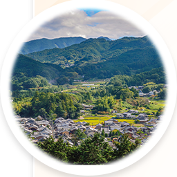 宮崎の山あいの風景